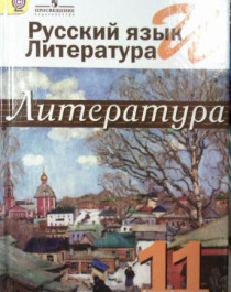 Русский язык и литература (базовый уровень): учебник для 11 класса.