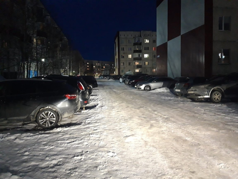 Родительский патруль.