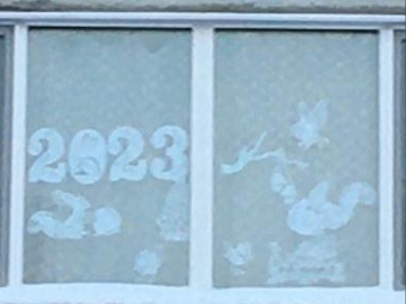 Акция «Новогодние окна - 2023.