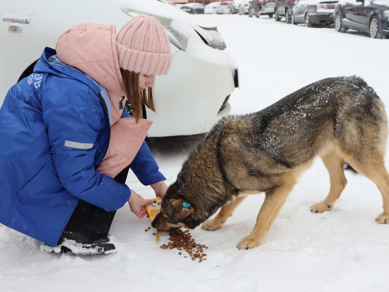 Районная акция "Рандомное добро".