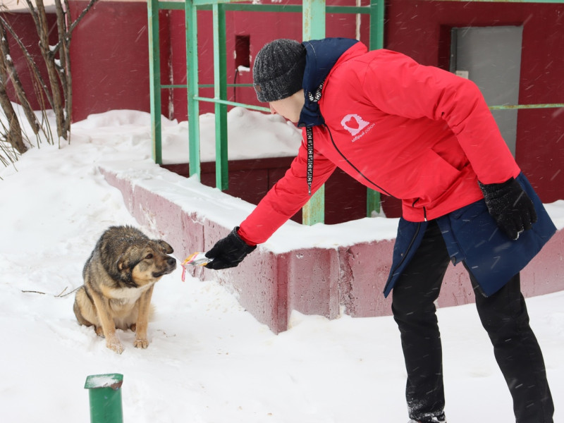 Районная акция "Рандомное добро".