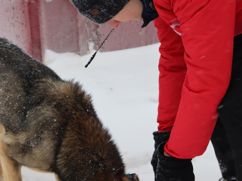 Районная акция "Рандомное добро".